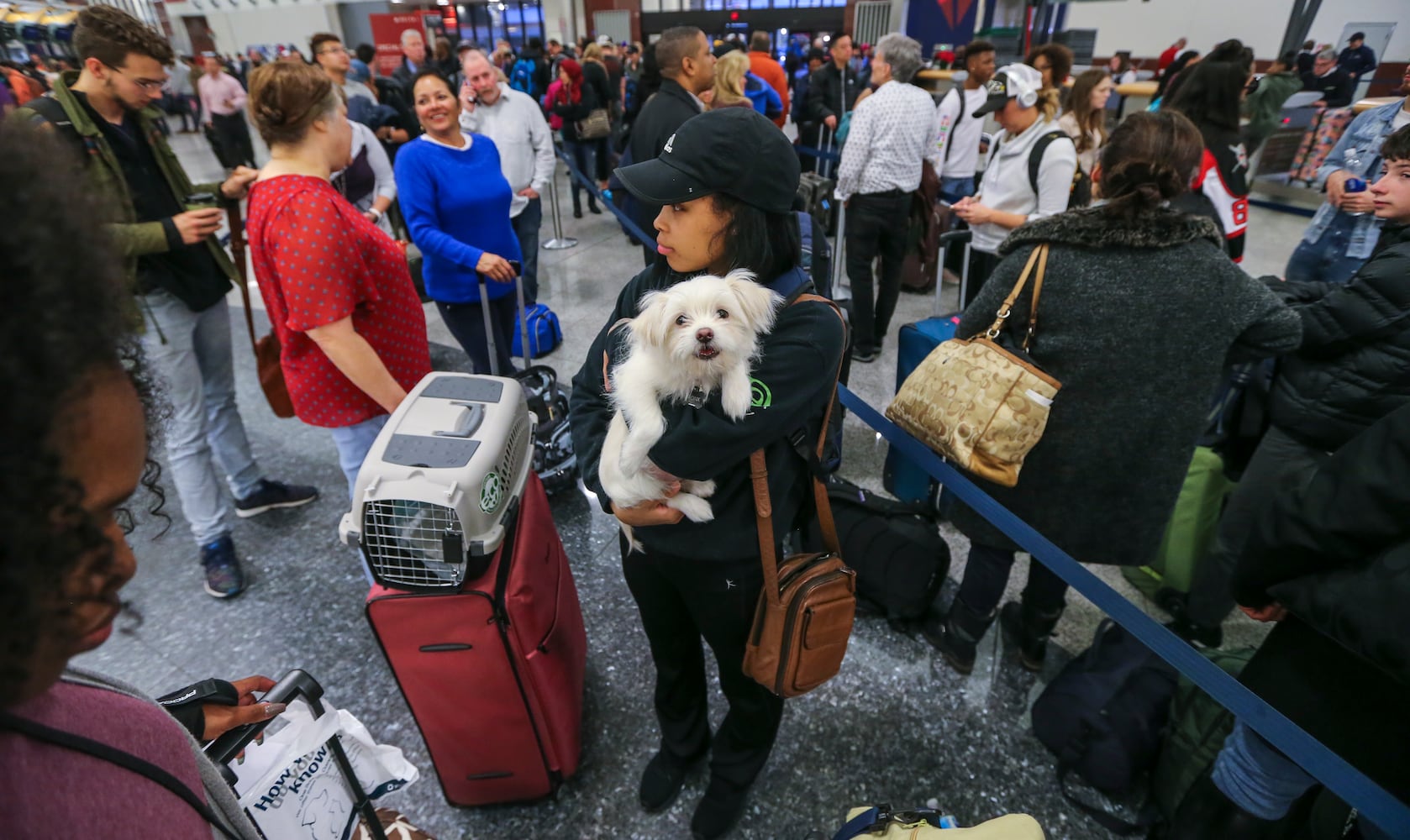 Air travel complaints in 2017