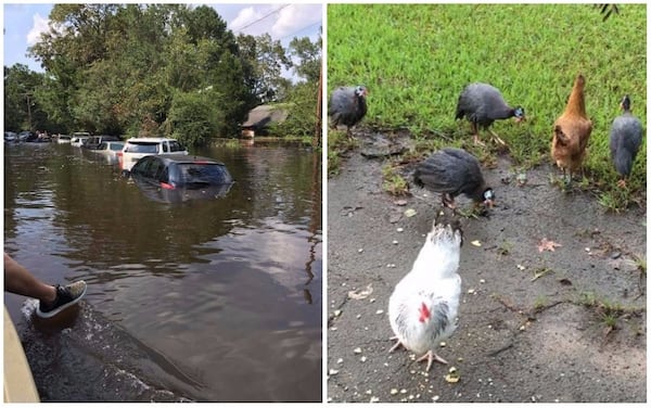 Marietta firefighter Ron Presley shows what the aftermath of Hurricane Harvey in Texas looks like. He's there with an animal disaster rescue group.