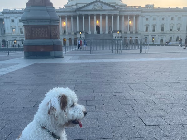 Jack Lucas, pictured on Capitol Hill in Washington, D.C., calls Sen. Jon Ossoff staffer Samantha Lucas his person. (Courtesy photo)