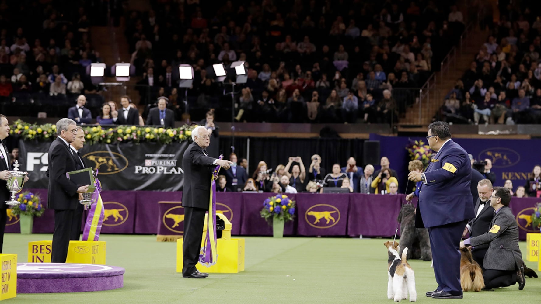 2019 Westminster Dog Show