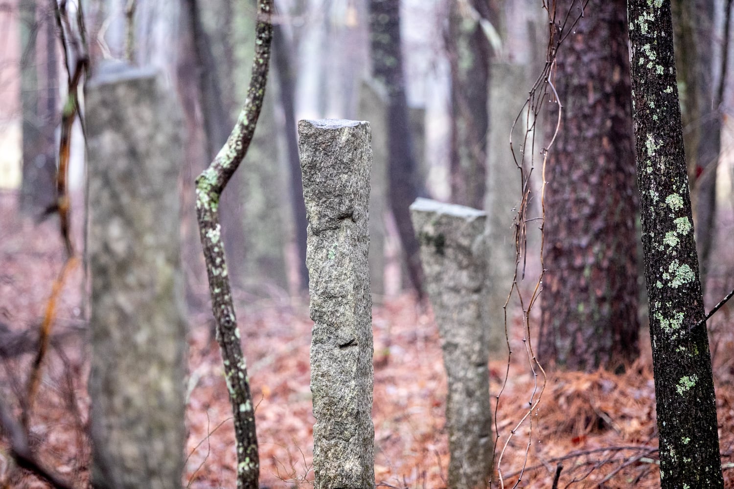 Rowan study suggests preservation of historical Dacula