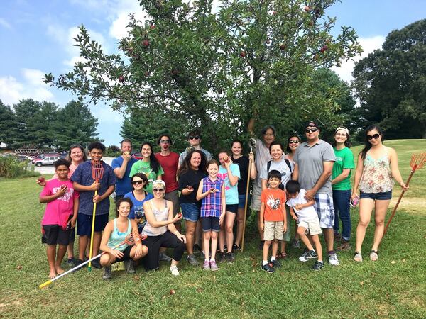 Volunteers with Concrete Jungle occasionally stage “rambles,” fundraising parties when they gather at a fruitful site to pick what’s in season and enjoy food, beer, music, and bicycle tours. The Spectacular Fruit Ramble on May 20 will kick off the 2018 picking season. CONTRIBUTED BY CONCRETE JUNGLE