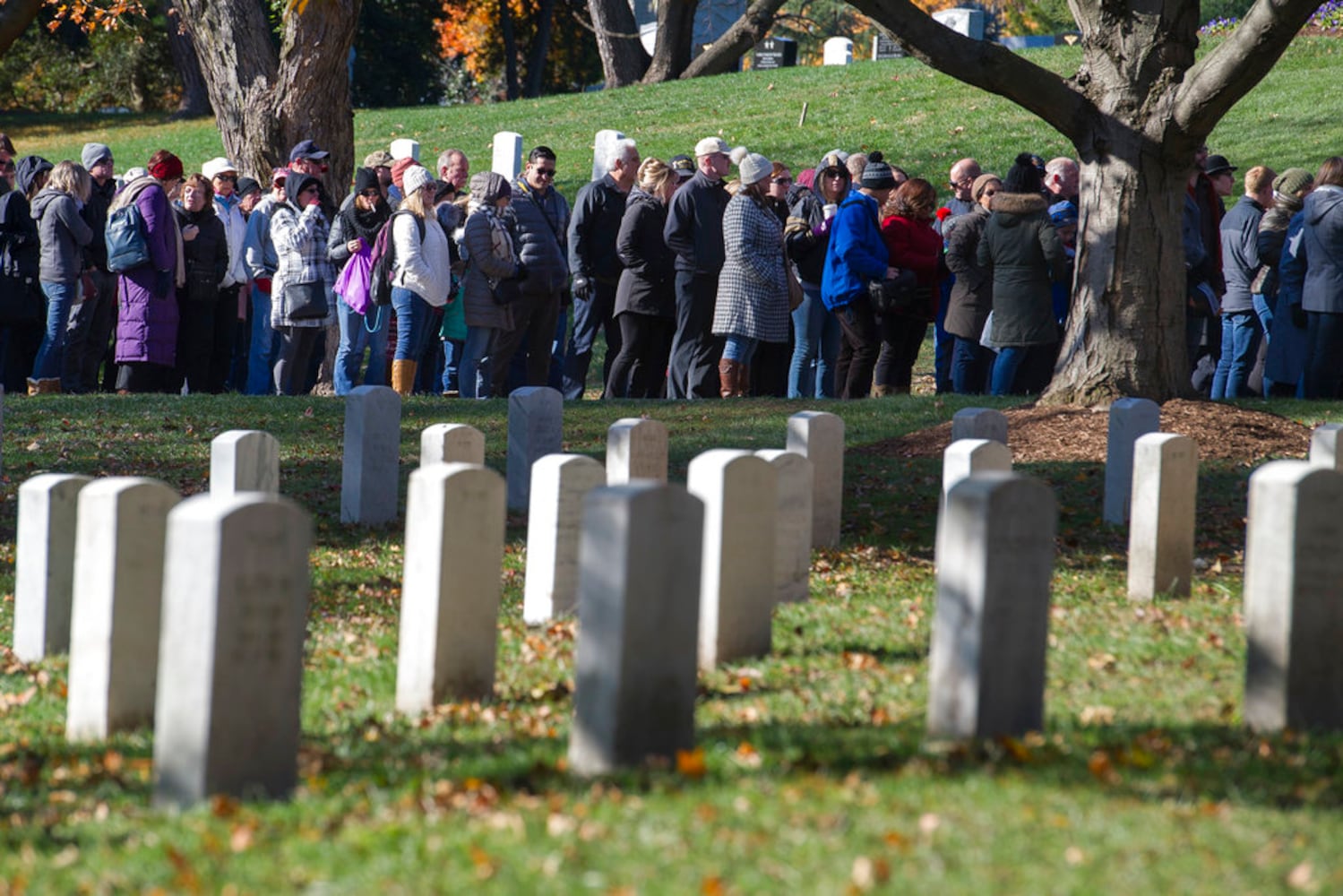 Photos: Veterans Day ceremonies across the country