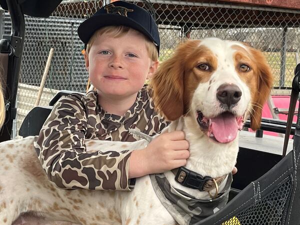 English setter Beau Daughtrey lives in Adel with Judge Chase Daughtrey and his family. (Courtesy photo)