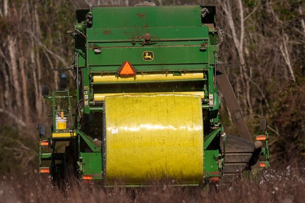 The cotton picker produced a large round bale of picked cotton, Friday, Dec. 6, 2024, near Lyons, Ga. (AP Photo/Mike Stewart)