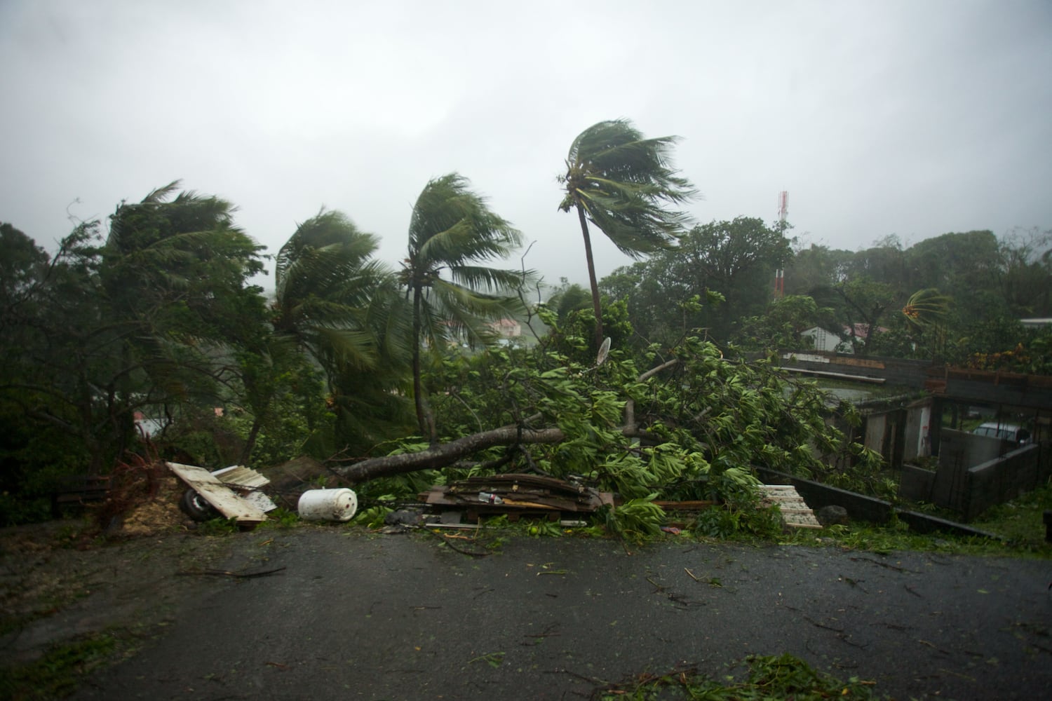 Hurricane Maria