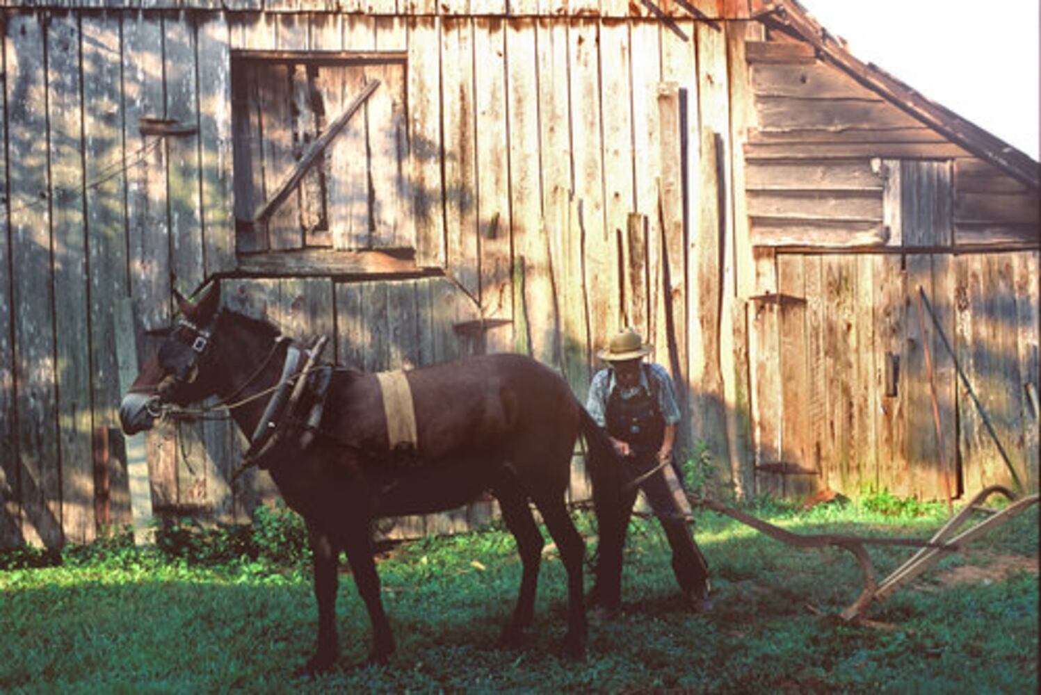 Protecting Cobb County's Hyde Farm