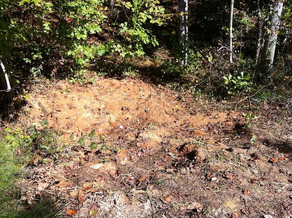 Human remains were located in October 2013 in a shallow grave in northern Paulding County, according to police.