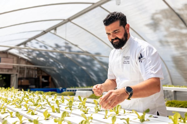 Omar Collazo is the executive chef at the Omni Amelia Island Resort & Spa. (Courtesy of Omni Amelia Island Resort & Spa)