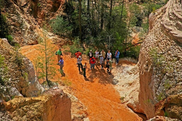 Park rangers will help visitors explore the hidden gems of Providence Canyon Outdoor Recreation Area (Lumpkin). This canyon was carved by erosion due to poor farming practices during the 1800s. Learn about the language of soft Coastal Plain soils called Nankin, Cowarts, Mobila and Orangeburst. Photo courtesy Georgia State Parks