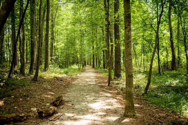 The Serenbe community in Chattahoochee Hills offers plenty of space for social distancing. CONTRIBUTED BY MIA YAKEL PHOTOGRAPHY