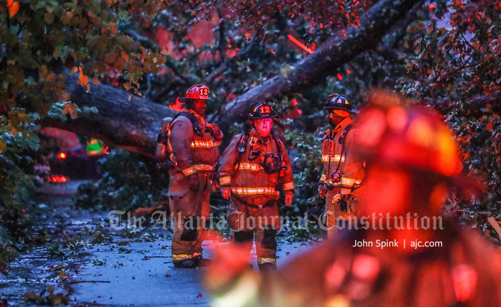 tree down fred