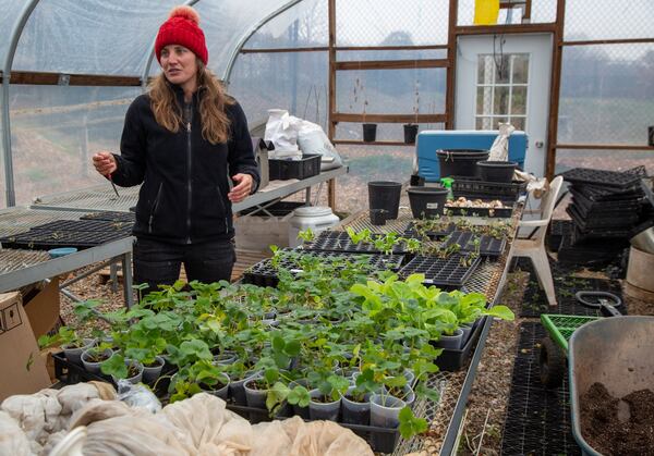 Farm manager Nobie Muhl, shown in the greenhouse at the Good Samaritan Health Center in Atlanta, worked in human resources before her sister-in-law introduced her to urban farming. She would later get a summer job harvesting blueberries, and in 2016, she began working at Good Sam. In 2018, she took over farm operations. CONTRIBUTED BY PHIL SKINNER