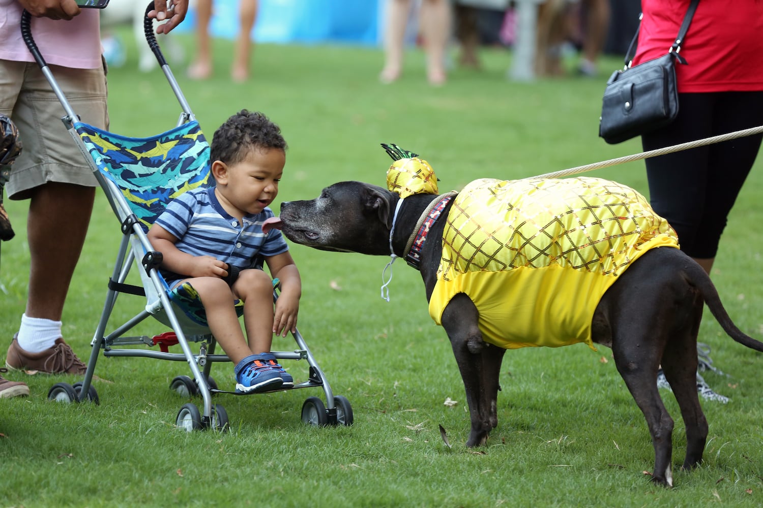 PHOTOS: Doggy Con 2019