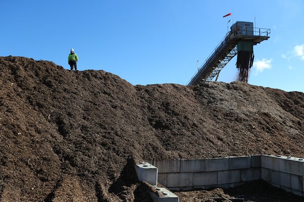 012821 Carnesville: Fuel handler Ty Bradley is dwarfed by a massive pile of green wood chips while working in the fuel yard at the Georgia Renewable Power, Biomass facility on Thursday, Jan. 28, 2021, in Carnesville.    Curtis Compton / Curtis.Compton@ajc.com”