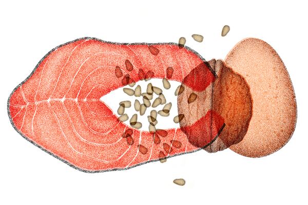 
                        Chronic inflammation can be a silent killer, but your diet can play a role in tamping it down. (Sarah Mafféïs/The New York Times) — FOR EDITORIAL USE ONLY WITH NYT STORY SCI DIET INFLAMMATION BY JILLIAN PRETZEL FOR SEPT. 23, 2024. ALL OTHER USE PROHIBITED. —
                      