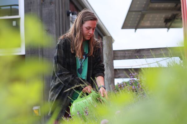 AmeriCorp VISTA worker Ellen Clegg waters a section of herbs at UGArden community farm. Miguel Martinez for the Atlanta Journal-Constitution