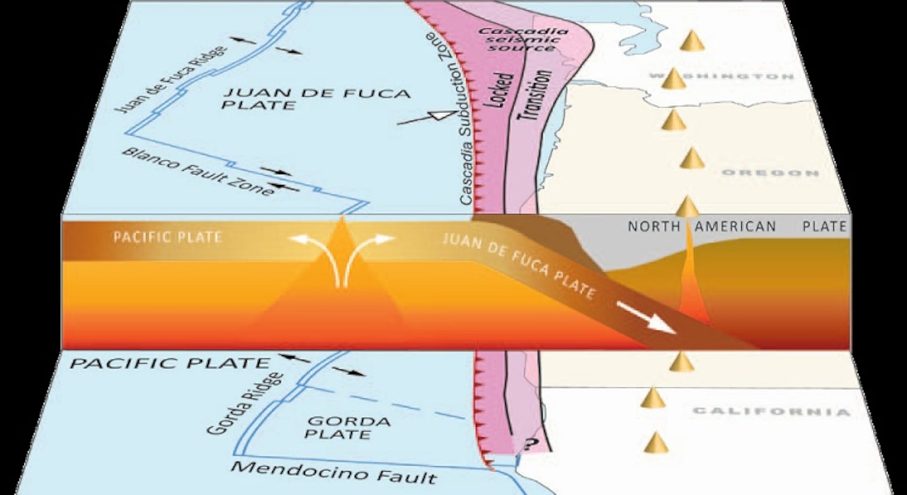 SLIDESHOW: Geologic illustrations explain the Cascadia subduction