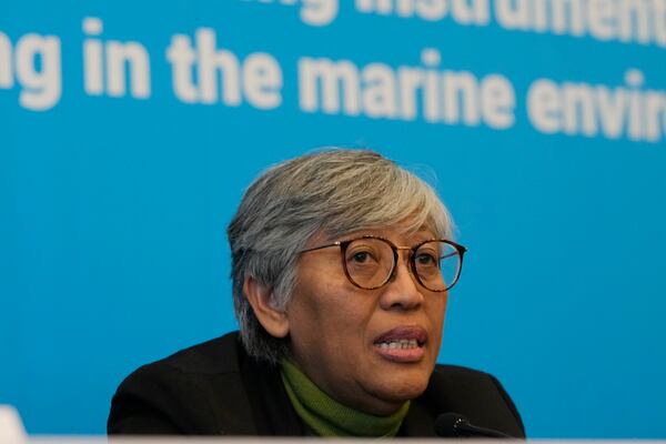 Yuyun Ismawati, Co-chair of the International Pollutants Elimination Network (IPEN), speaks during a press conference with IPEN members at the fifth session of the Intergovernmental Negotiating Committee on Plastic Pollution in Busan, South Korea, Friday, Nov. 29, 2024. (AP Photo/Ahn Young-joon)