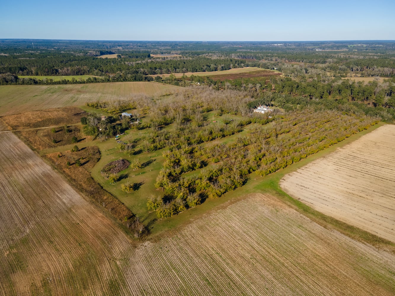 Grow bananas, pecans and more on your own personal Georgia estate for $2 million