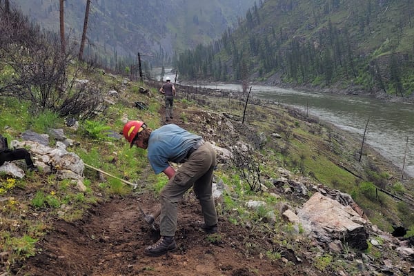 Luke Tobin works as a forestry technician in the Nez Perce National Forest in Idaho in 2022. (Luke Tobin via AP)