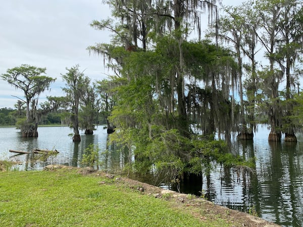 Resora's grounds include a large pond with cypress trees, which lend the property its name, Cypress Pond Plantation. Courtesy of Airbnb. Ligaya Figueras 
/ Ligaya.figueras@ajc.com