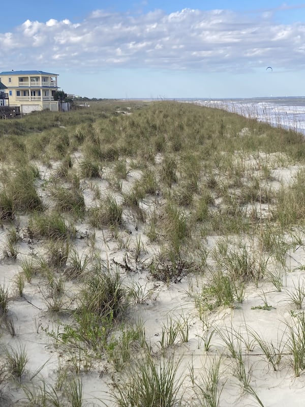 Tybee Island built this sand dune between 3rd Street and 1st Street in 2019. The dune has prevented flooding from storm surge during recent storms, including Hurricane Milton. Adam Van Brimmer/AJC