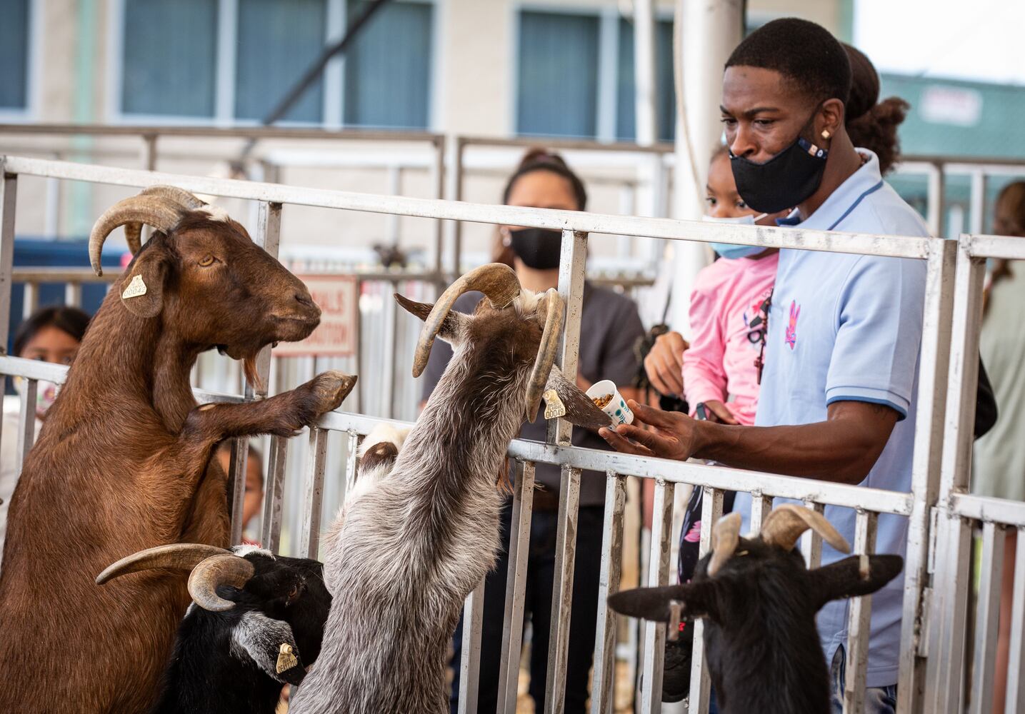 Georgia State Fair returns with pandemic precautions