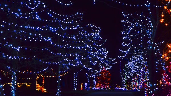 More than 150,000 people visit the drive-through displays at Holiday Fantasy of Lights at Tradewinds Park. (Contributed)