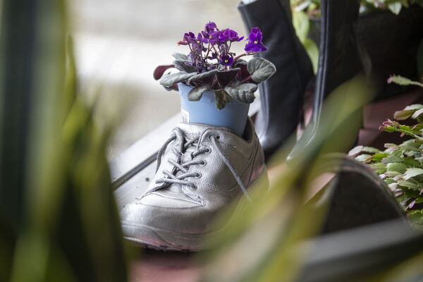 Shoes are used as decoration in the front window entrance at Cato Shoe Repair, which has been in the same Atlanta shopping center for more than half a century. (ALYSSA POINTER / ALYSSA.POINTER@AJC.COM)