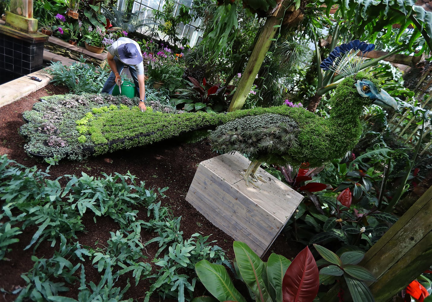 Imaginary Worlds at Atlanta Botanical Gardens