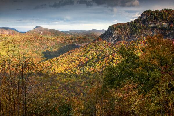 Foliage seekers can see Shadow of the Bear this fall.PHOTO CREDIT: STACY REDMON