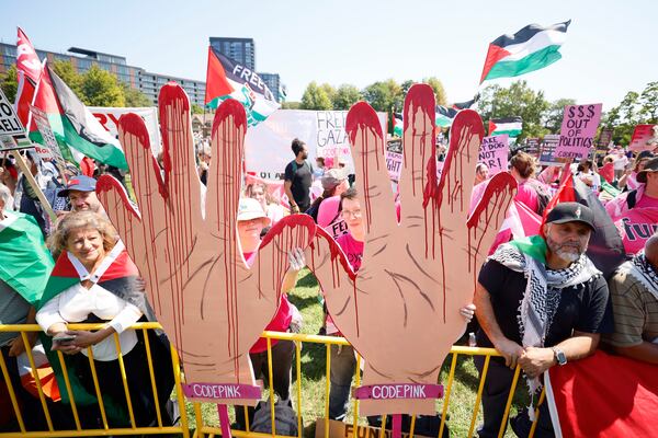 Hundreds of protesters gather in Union Park during the first day of the Democratic National Convention in Chicago.