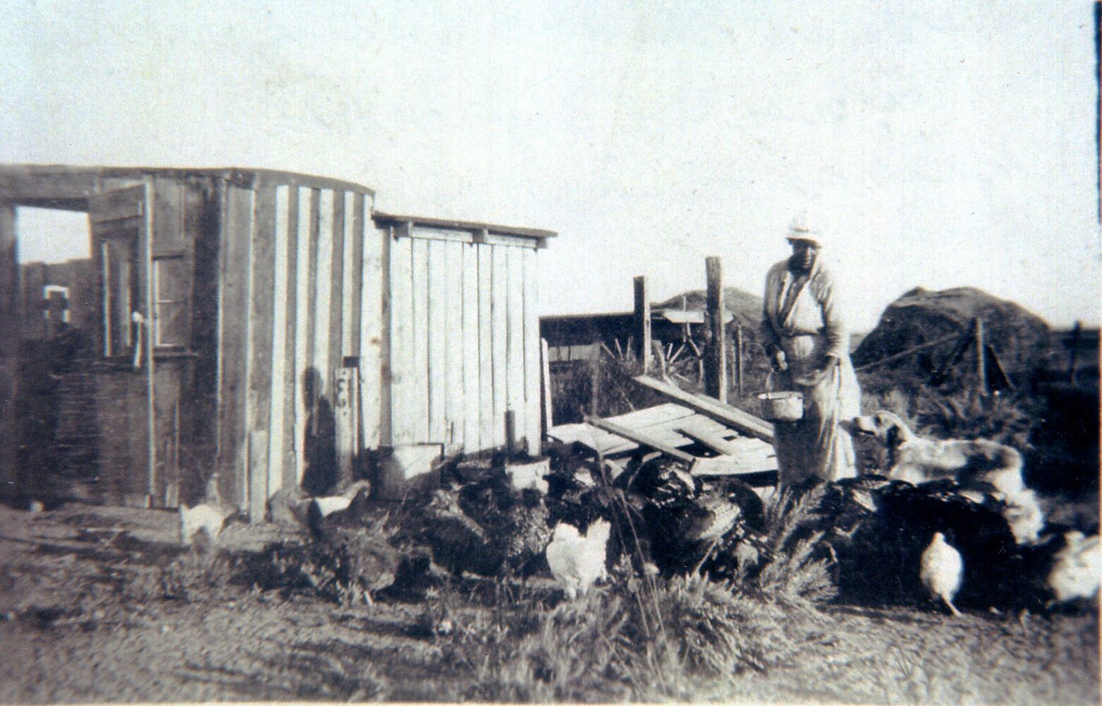 BHM Black homesteaders