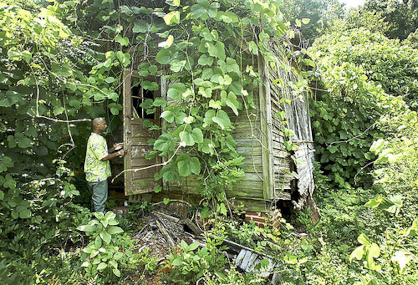 Deja News: For a half-century, kudzu was Georgia's 'miracle vine'