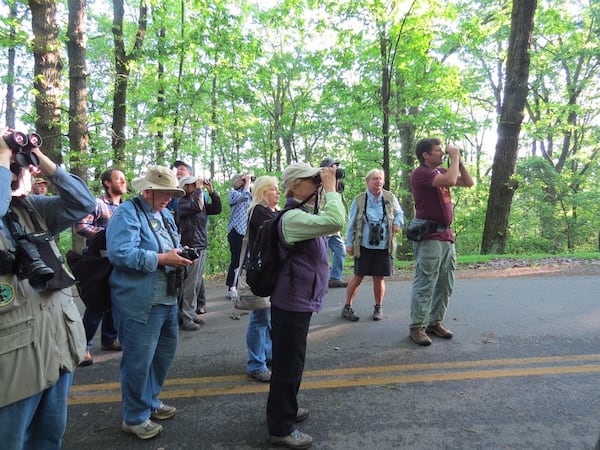 Adam Betuel leads a group of birders in a Kennesaw Mountain birding walk in 2019. The coronavirus pandemic hs put a temporary halt to these expeditions, though the Atlanta Audubon Society, now called Georgia Audubon, sponsors "virtual" birding walks online.