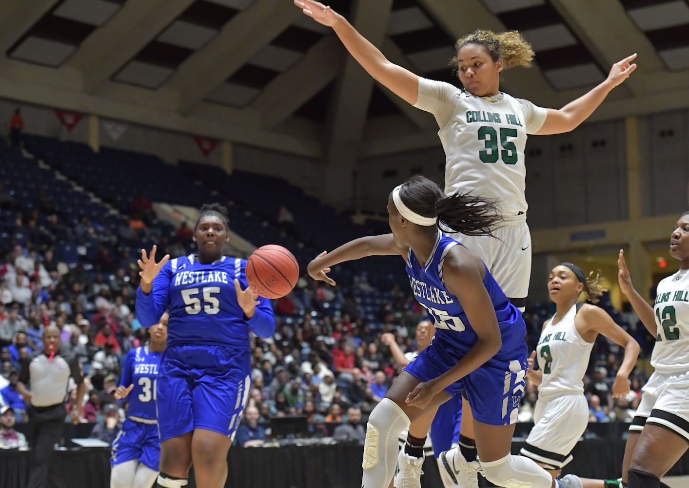 Photos: High school basketball champions crowned