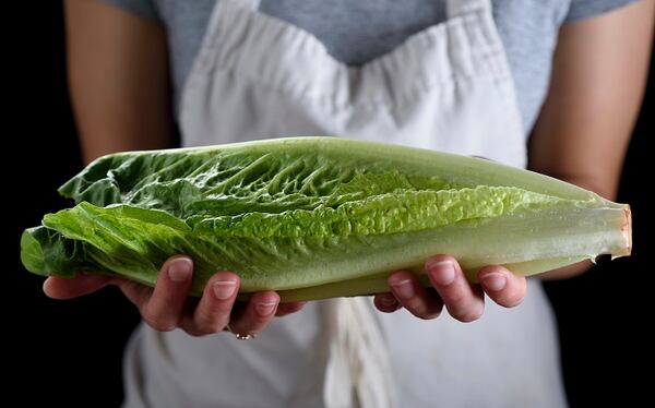 FILE -- Romaine lettuce in New York, April 26, 2017. Health officials have linked romaine lettuce to a deadly outbreak of E. coli in Canada, while American officials continue to investigate the cause of illnesses in 13 states. (Karsten Moran/The New York Times)