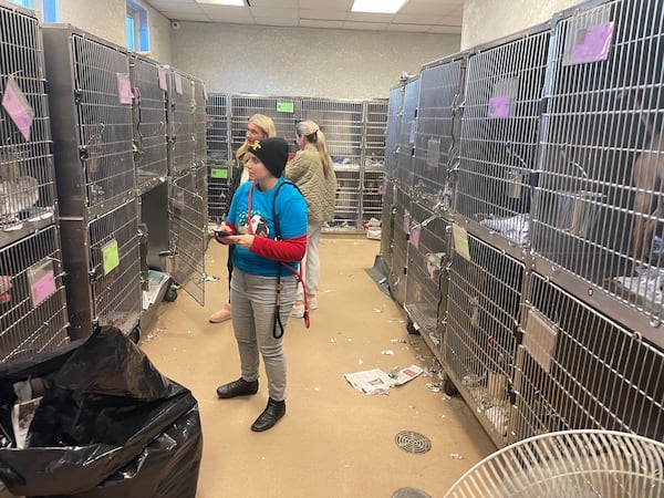 Natalie Pierce and Lauren Holston, rear, ponder which dog to foster Thursday after the DeKalb County Animal Shelter made a plea for the public to come in and foster or adopt because of overcrowding. (Bill Torpy/The Atlanta Journal-Constitution/TNS)