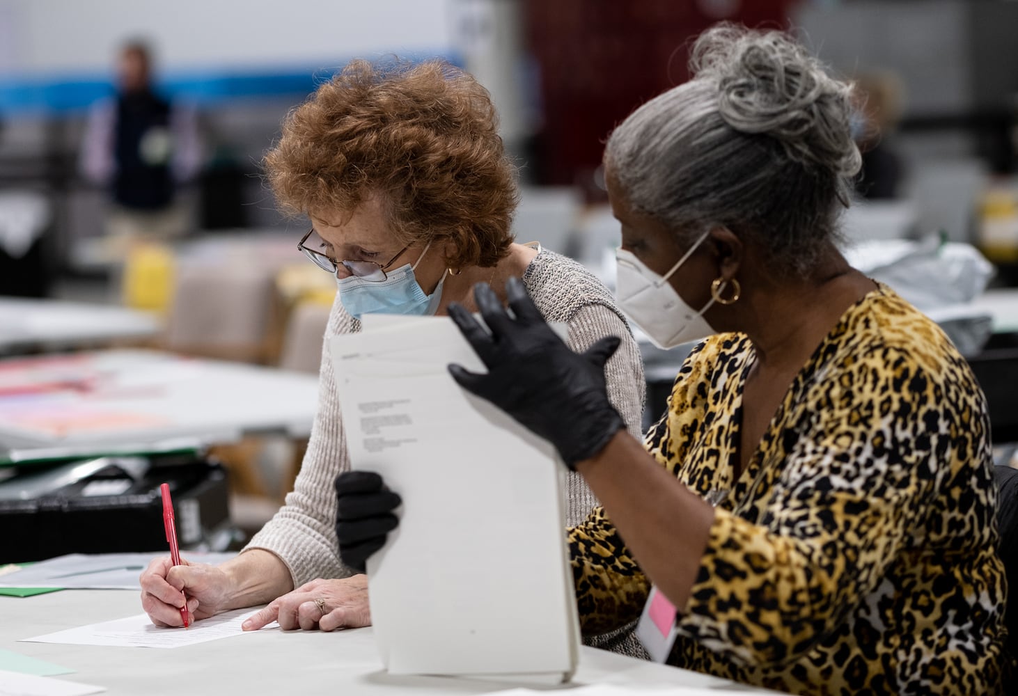 Gwinnett Recount