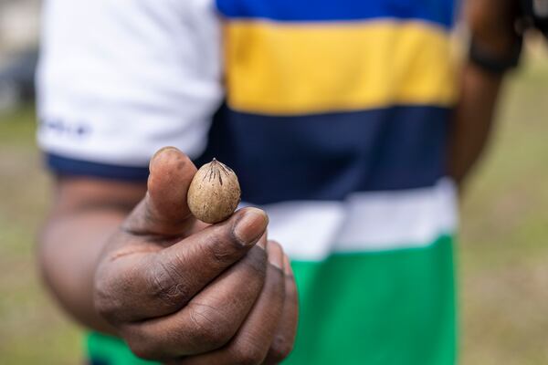 LeMario Brown shows an old pecan from his orchard in Fort Valley. Brown doesn’t have much debt, but he and other farmers are excited about legislation and are studying ways to get access to some of the funding. (Alyssa Pointer / Alyssa.Pointer@ajc.com)