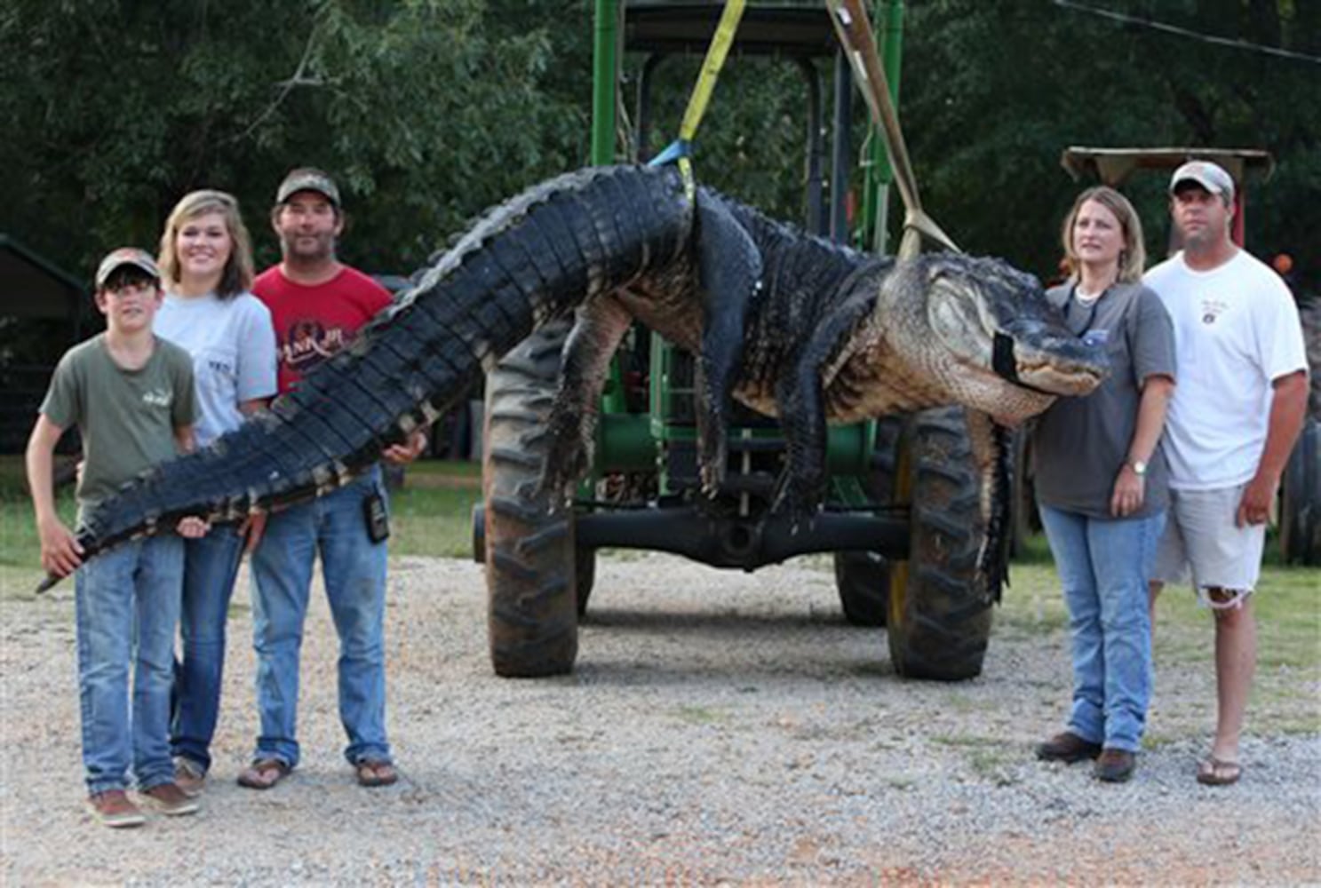 Record Alligator