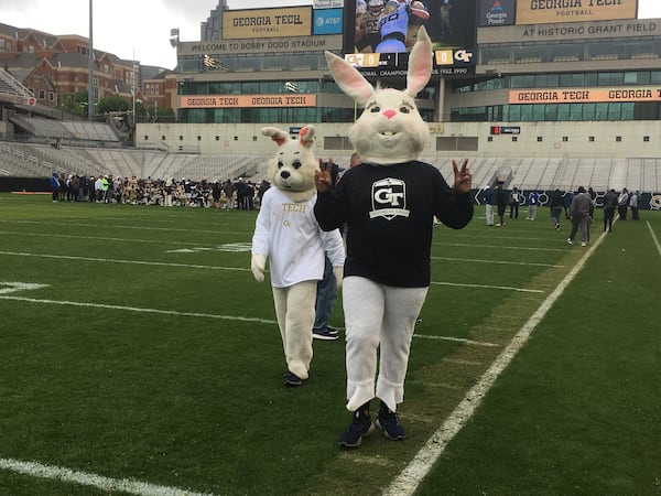 Georgia Tech graduate assistant coach and former Yellow Jackets offensive lineman Errin Joe (dark shirt) walks off the field after a team scrimmage April 20, 2019 at Bobby Dodd Stadium. Joe and other costumed graduate assistants helped put on an Easter egg hunt after the practice for children of coaches and staff.