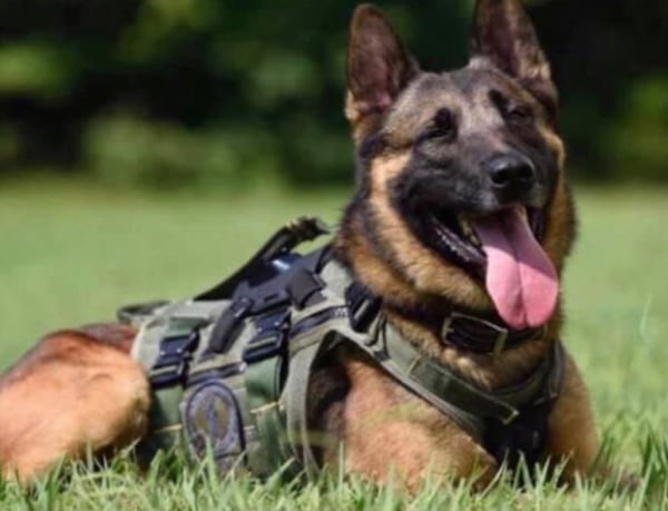 SWAT K-9 Blue was laid to rest Tuesday in Bethlehem. 