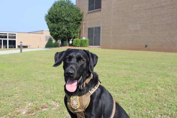 Gunner is a member of the Arson K-9 Unit  under Georgia Insurance Commissioner John King. (Courtesy photo)