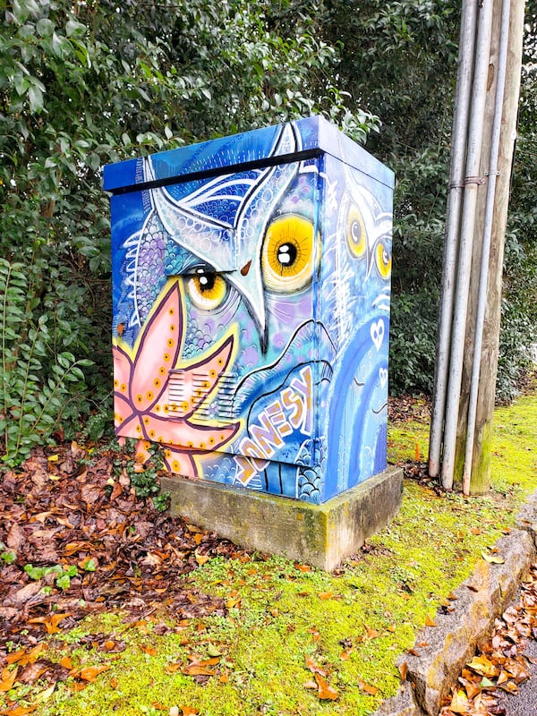 A Decatur utility box painted by Krista Jones.