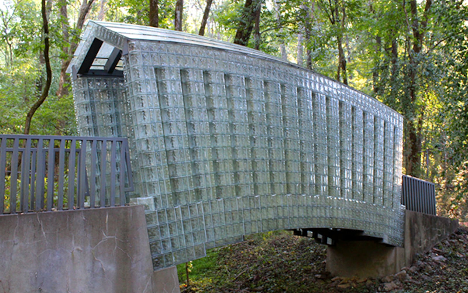 You can do more than look at this glass bridge at the Carell Woodland Sculpture Trail - it can be walked through.