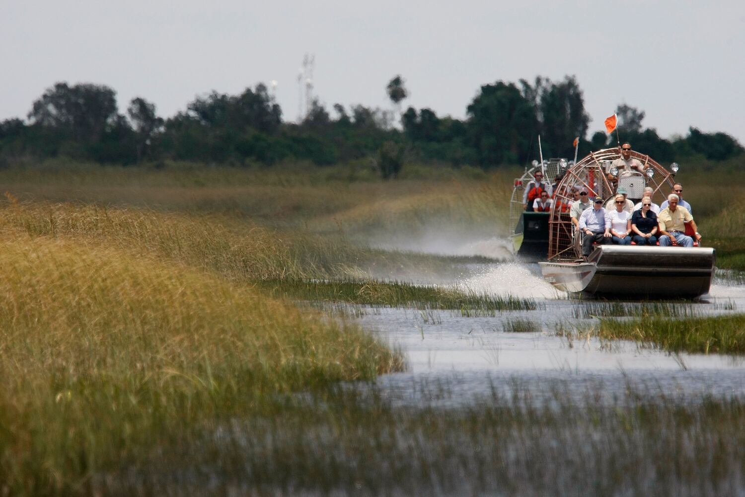 The Everglades