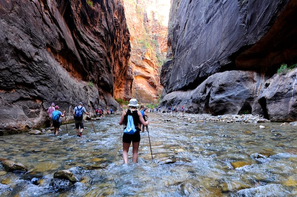 The Virgin River snakes through the Narrows in Zion National Park. (Marc Martin/Los Angeles Times/TNS)