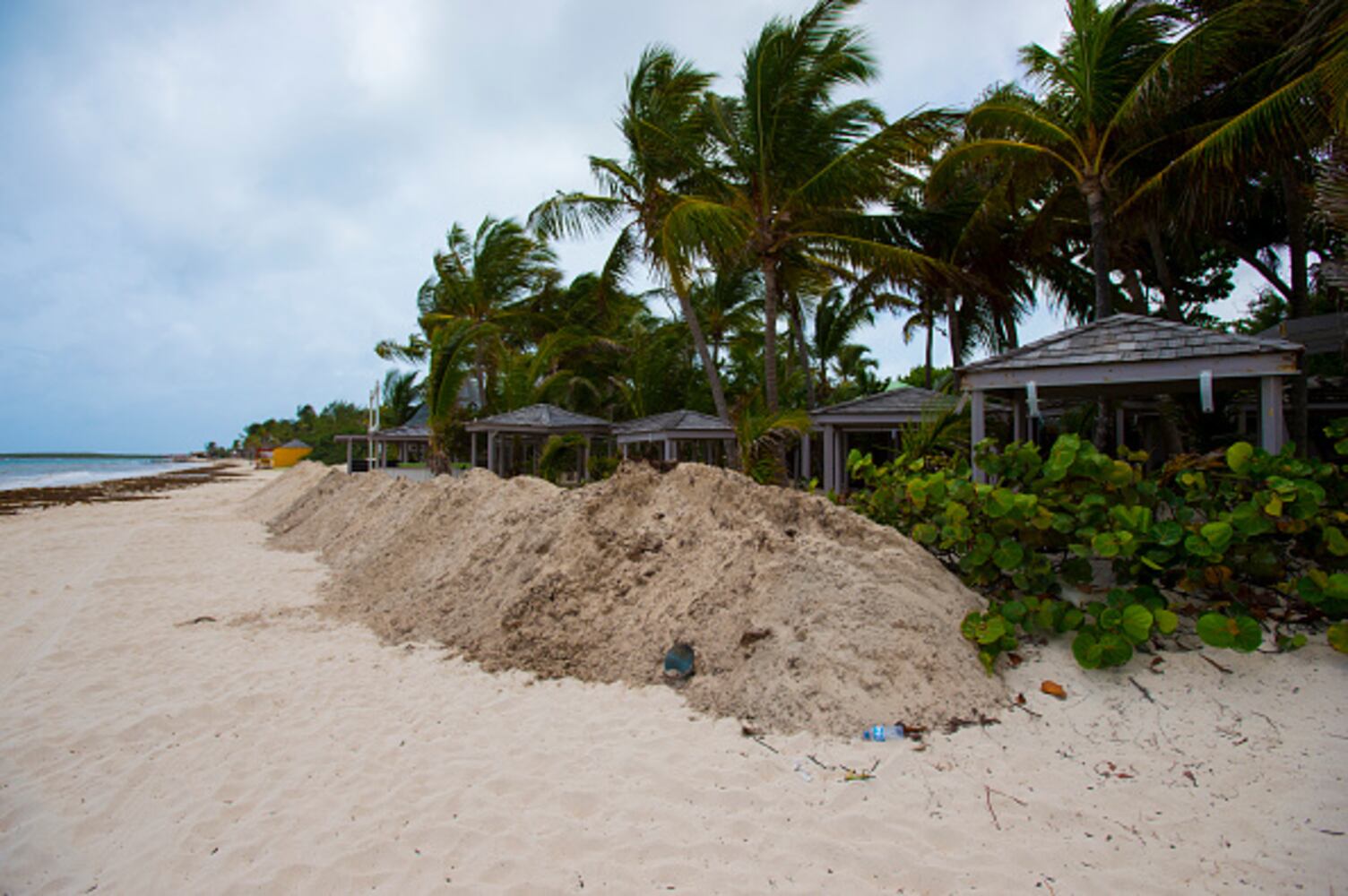 Irma preps